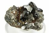 Gemmy Cassiterite Crystals on Arsenopyrite - Viloco Mine, Bolivia #249652-1